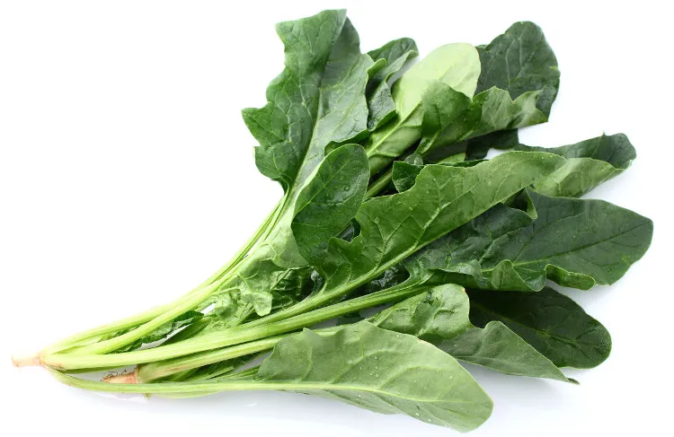 Rau chân vịt là loại rau tốt cho trí não, bởi hàm lượng vitamin A, C, B1 và B2 cao.