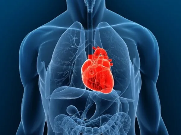 Nghiên cứu đã mở ra những cơ hội mới cho người mắc bệnh tim.