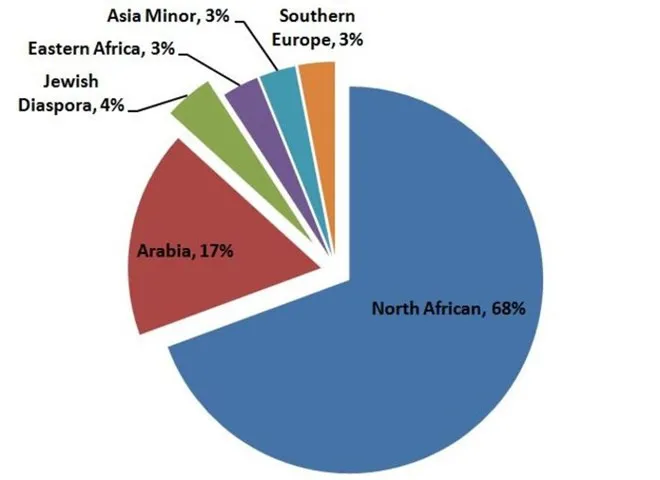 Theo nghiên cứu, chỉ có 17% người Ai Cập là gốc Arab.