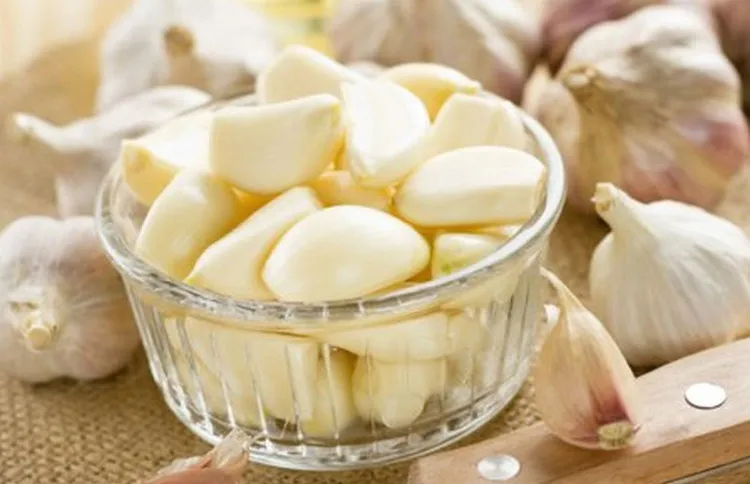 Tỏi cón có tác dụng giảm nồng độ cholesterol và tác dụng như chất chống oxy hóa.