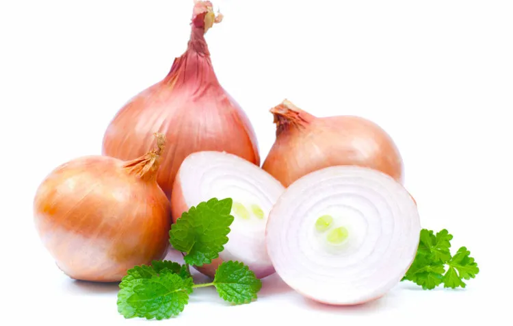 Ăn hành tây còn làm giảm cholesterol trong máu, ổn định huyết áp