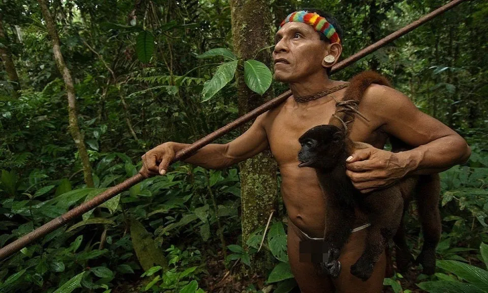ộ tộc Huaorani sống gần sông Rio Napo, một phụ lưu chảy vào sông Amazon.