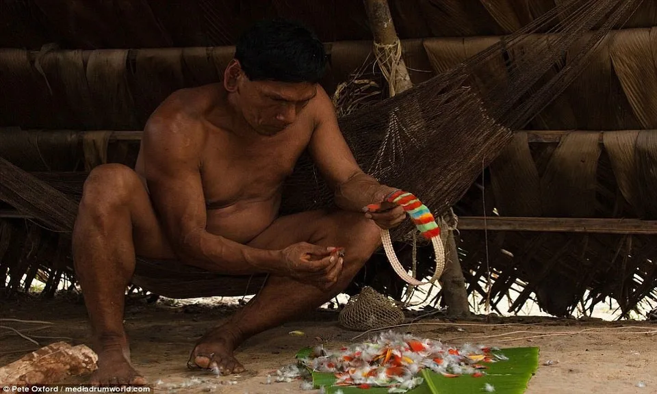 Một người Huaorani xâu chiếc vòng cổ từ lông chim.