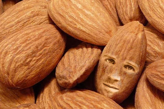 Almond - quả hạnh nhân