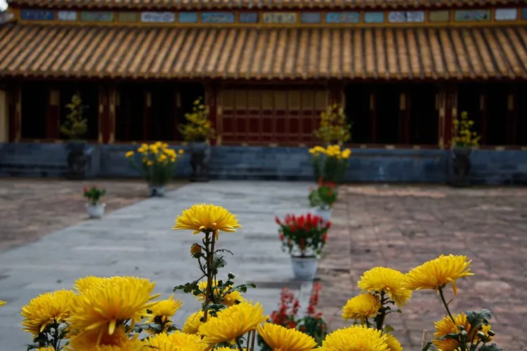 Hoa Tết ở lăng Thiệu Trị, Huế.