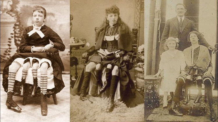 Quý bà 4 chân Myrtle Corbin