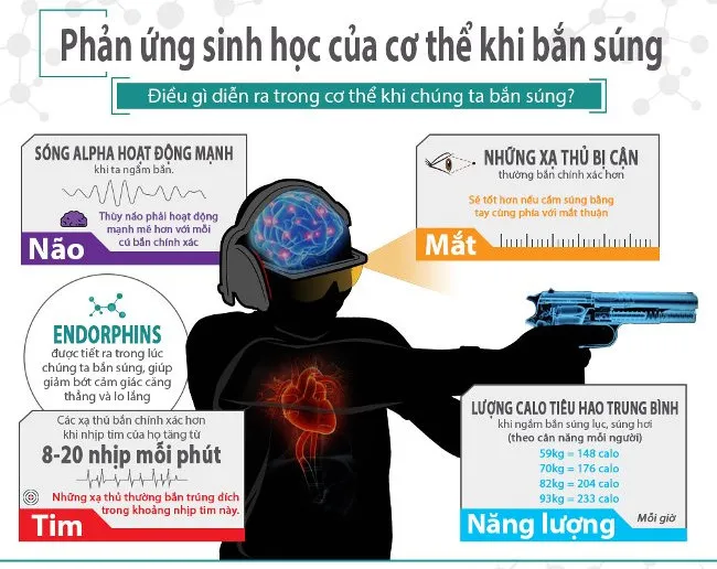 Trong khi bắn súng, não bộ sẽ giải phóng dopamine và endorphin.