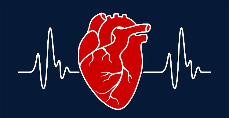 Khi lượng cholesterol vượt quá mức cần thiết sẽ dẫn tới xơ vữa động mạch.