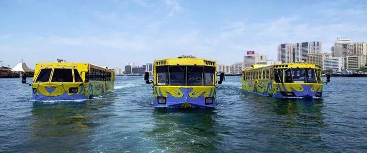 Trên thế giới, nhiều quốc gia sử dụng xe buýt lưỡng cư để vận chuyển du khách nhưng chủ yếu phục vụ hoạt động du lịch.