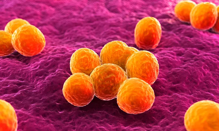 Việc nghiên cứu vi khuẩn MRSA trong không gian là một công việc cần tiến hành càng sớm càng tốt.