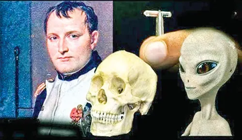 Con chip tìm thấy trong hộp sọ Napoleon.