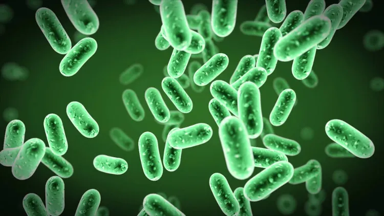 Khả năng kháng kháng sinh của vi khuẩn là do nó đã có sự biến đổi trong gene mã hóa các thành phần ribosome.