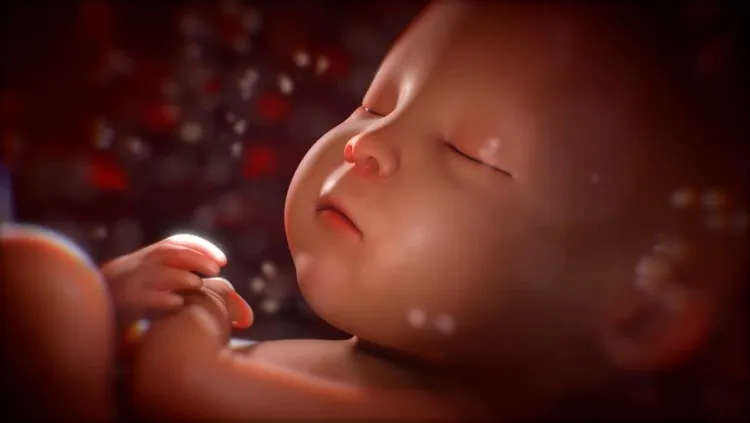 Mùi vị có thể đi thẳng từ miệng của mẹ đến máu của thai nhi thông qua hệ thống máu của người mẹ.