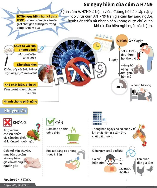 Virus cúm H7N9 nguy hiểm hơn cả virus H5N1 và hiện nay nó chưa có vắc xin phòng bệnh.