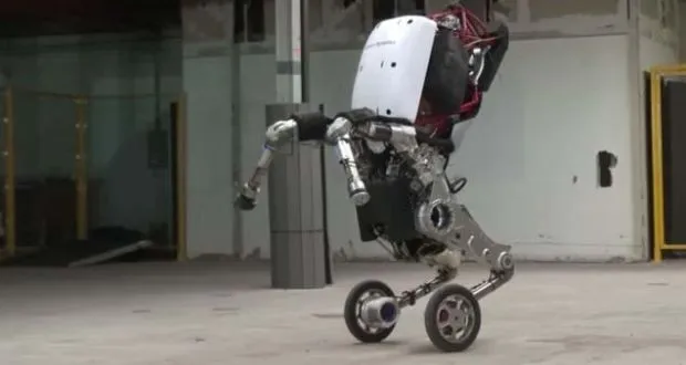 Robot Handle chạy trên hai chân sau.