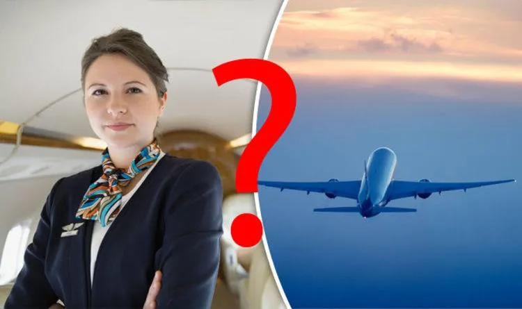 Một yếu tố đặc biệt có thể thu hút sự chú ý của tiếp viên hàng không đó là thể chất của hành khách.