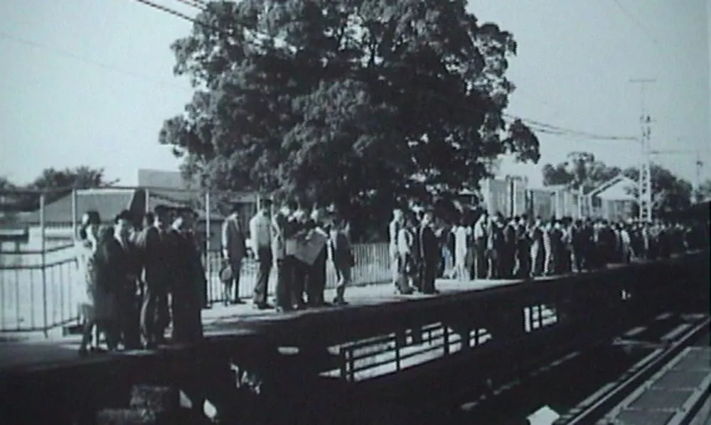 Khi ga Kayashima đi vào hoạt động vào năm 1910, cây long não đã ở đó che nắng mưa cho hành khách.