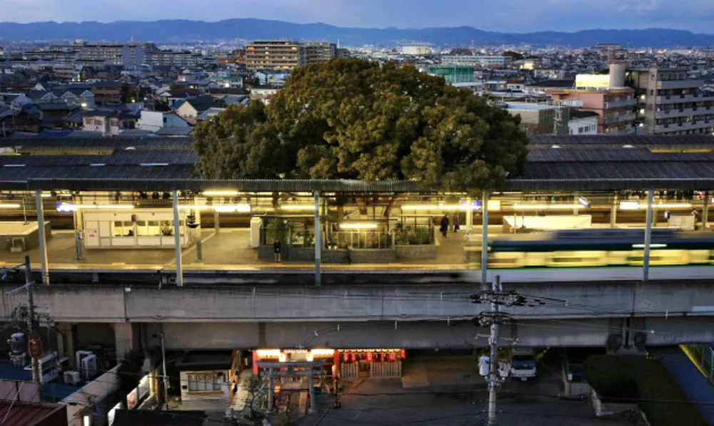 Ga Kayashima tại Neyagawa (Osaka, Nhật Bản)