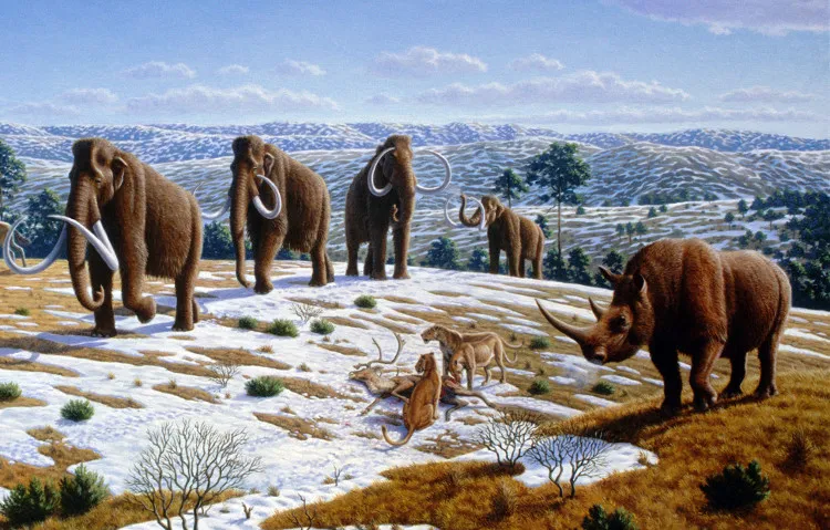 Cứ 40.000-100.000 năm trái đất có thể rơi vào thời kỳ băng hà một lần, có thể hủy diệt các loài.