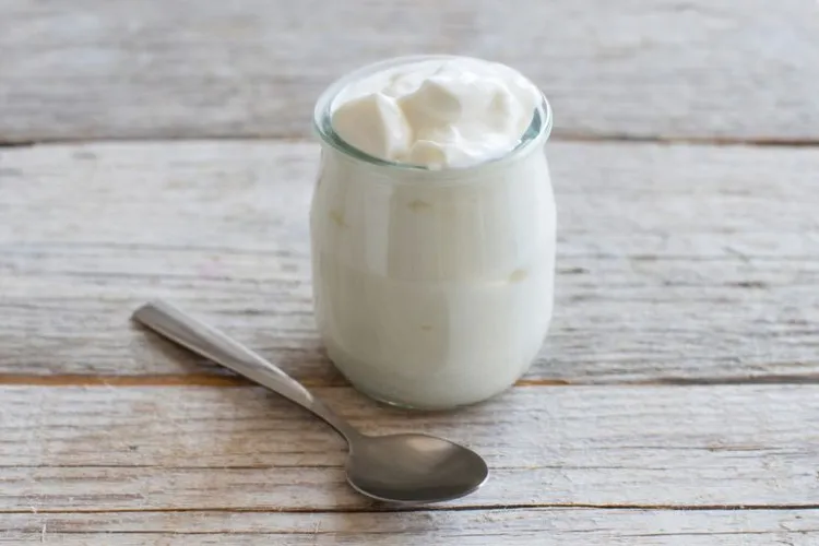 Lợi khuẩn Lactobacillus tồn tại nhiều trong sữa chua