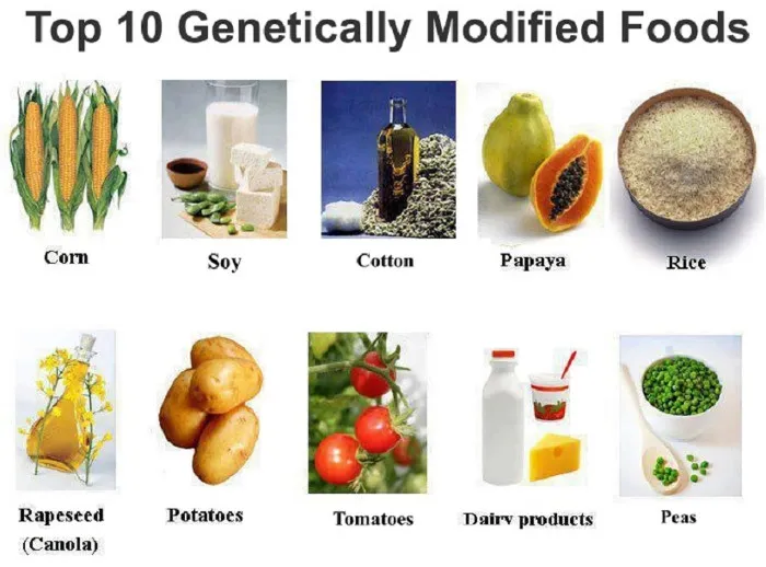 Một số loại thực phẩm thường được biến đổi gene