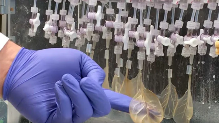 Nghiên cứu này sẽ được đăng chi tiết trên tạp chí Biomaterials vào tháng 5 tới