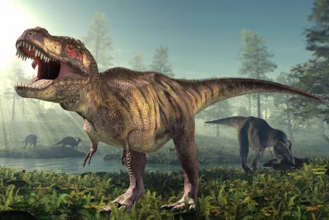 T-rex có một cái mũi cực kỳ nhạy cảm