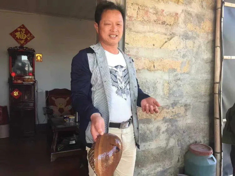 Ông Zhang cầm vỏ ốc xà cừ.