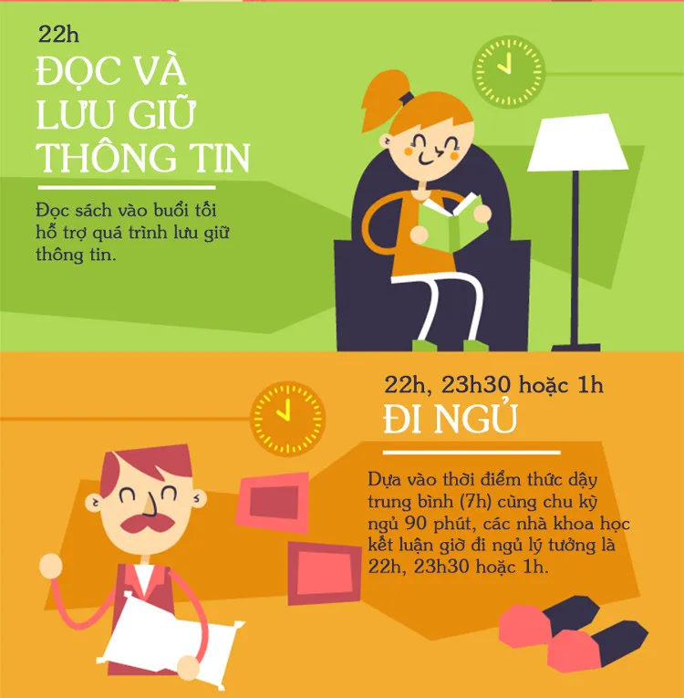 Các nhà khoa học kết luận giờ đi ngủ lý tưởng là: 22h, 23h30 hoặc 1h.