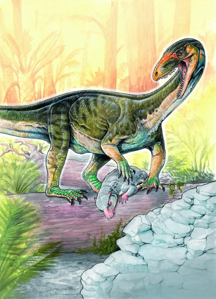 Loài Teleocrater rhadinus dài 2 - 3 mét và nặng 9 - 30kg.