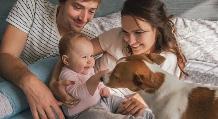 Thú cưng trước đây từng được khẳng định có lợi cho sự phát triển của nhóm trẻ em bị mắc chứng tự kỷ.