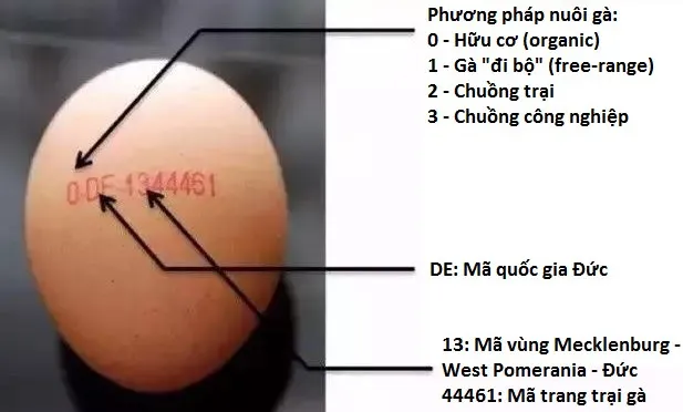 Kể từ năm 2004, tất cả trứng được phân phối tại EU đều phải được đóng dấu với những thông tin cơ bản nhất.