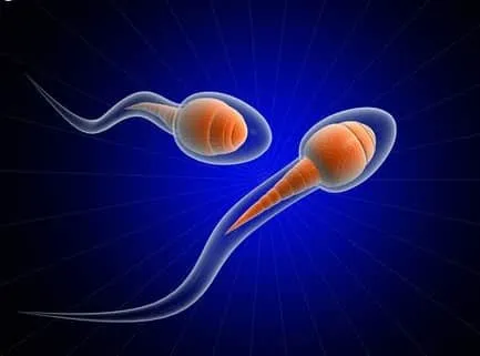 Hai người đàn ông cũng có thể sinh con từ DNA của chính họ