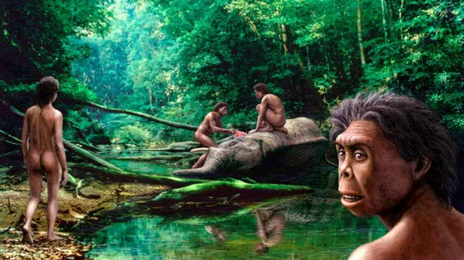 Các nhà khoa học người Úc mới đây cho rằng người Hobbit có liên quan đến chủng người Homo habilis