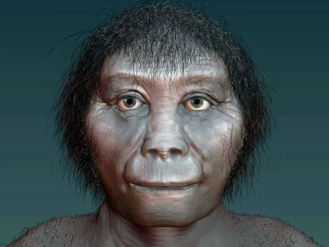 Tỉ lệ liên quan giữa Homo sapiens và Hobbit là cực kỳ thấp