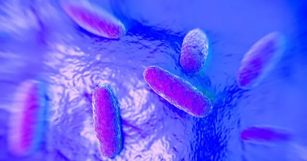 Salmonella đột biến