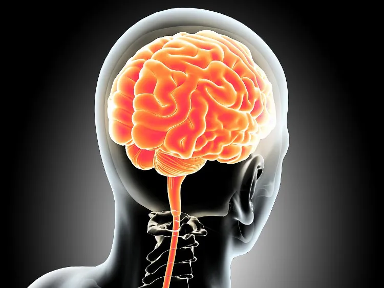 Hai chuyên gia lo ngại công nghệ mới sẽ tấn công và đe dọa quyền tự do tâm trí loài người