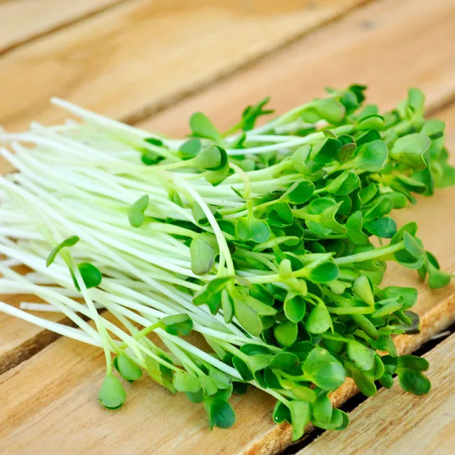 Rau mầm giúp sản sinh máu, tốt hơn rất nhiều các loại rau khác