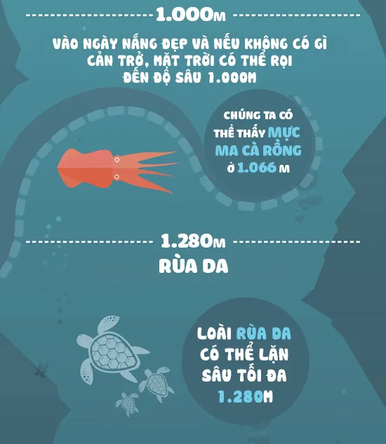 Đáy biển sâu 1000m