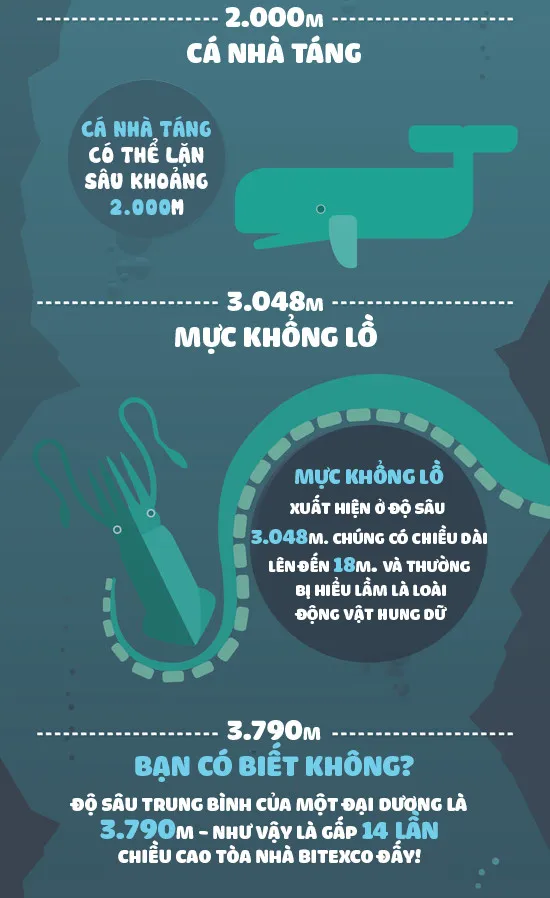 Cá nhà táng