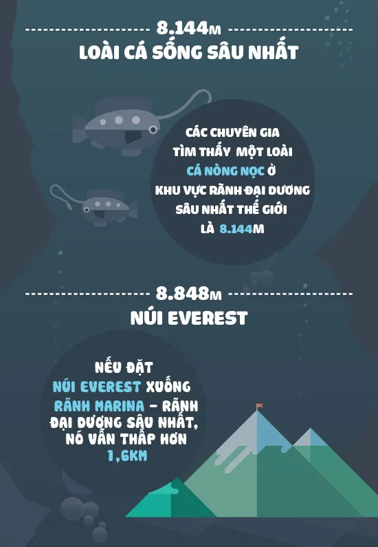 Loài cá sống sâu nhất