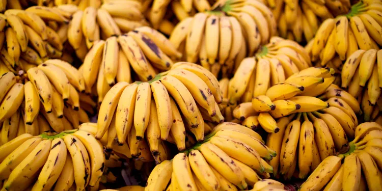 Chuối giàu năng lượng, protein và vitamin cần thiết cho cơ thể.