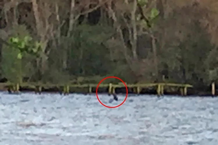 Hình ảnh mới nhất về quái vật hồ Loch Ness.