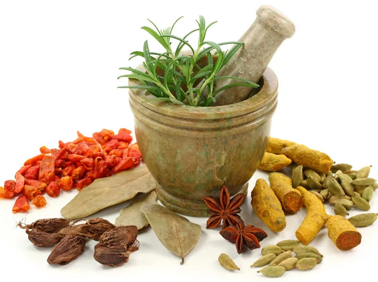 Tình trạng vi khuẩn kháng thuốc ngày một nghiêm trọng, cho nên việc xem xét sử dụng thảo dược càng trở nên bức thiết.