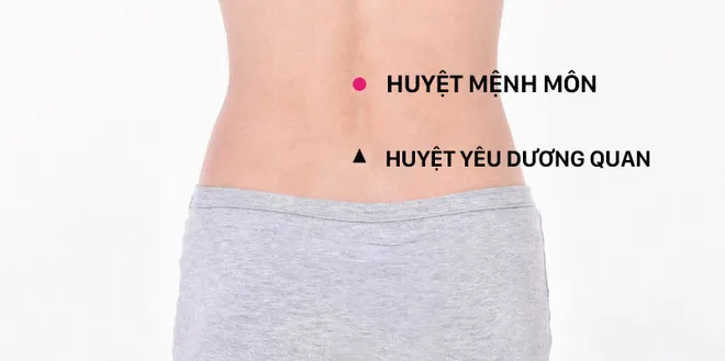 Huyệt mệnh môn và yêu dương quan nằm ở sống lưng dưới, đây là 2 điểm quan trọng nhất để chăm sóc thận.