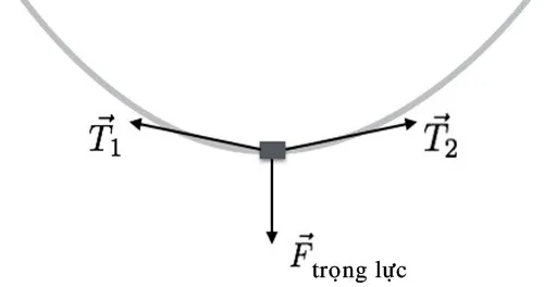 Sợi dây điện bị tác động bởi hai lực căng T và trọng lực của Trái Đất.