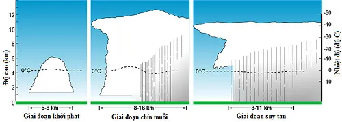 Các giai đoạn hình thành cơn giông.