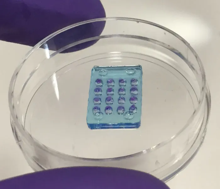 Võng mạc sinh học tạo ra từ các hạt nước hydrogel và protein nhạy sáng.