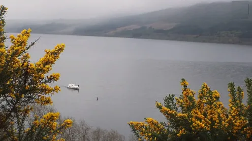 Hình ảnh được cho là quái vật hồ Loch Ness đang tiến lại gần chiếc thuyền nhỏ.