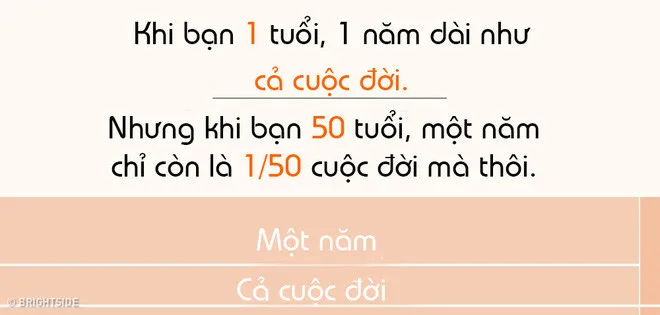 Khi chúng ta già đi, thời gian dường như lại trôi nhanh với tốc độ chóng mặt.